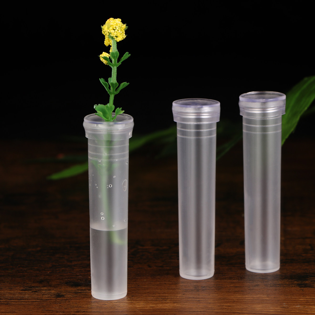 50Pcs Nutrition Flower Tubes P - Anda Florist Supply ulasan dan harga