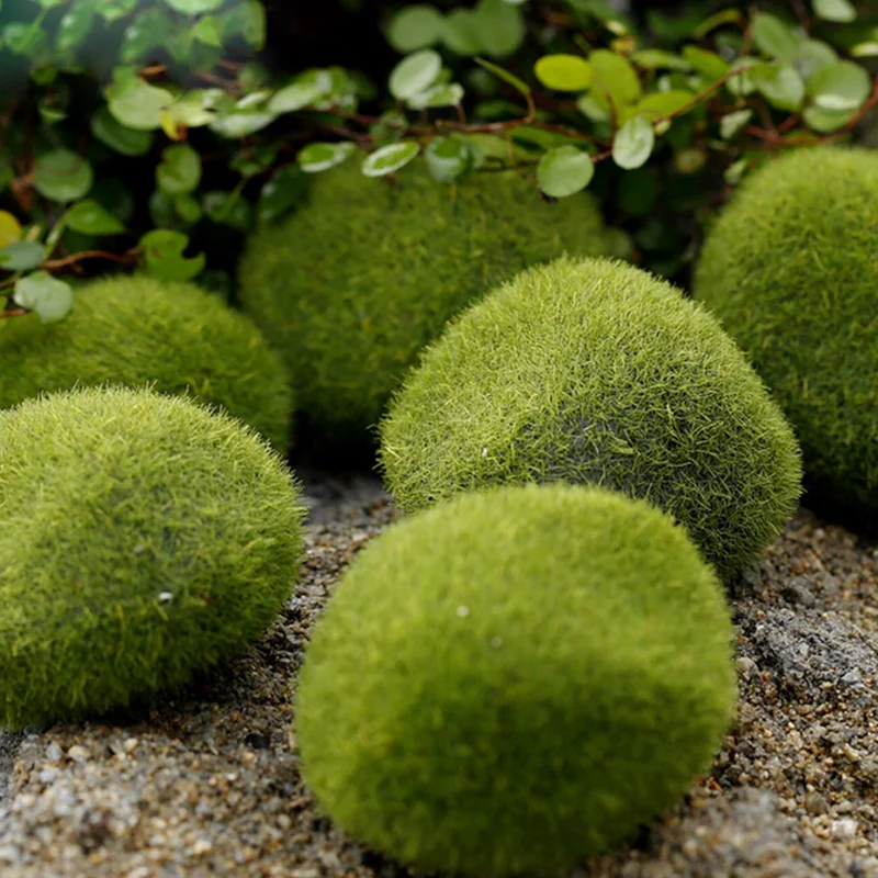 Artificial Moss Grass Micro La - Preserved Moss Sheet ulasan dan harga
