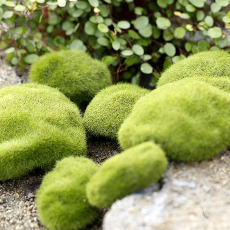 Artificial Moss Grass Micro La - Preserved Moss Sheet ulasan dan harga
