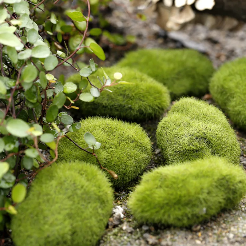 Artificial Moss Grass Micro La - Preserved Moss Sheet ulasan dan harga