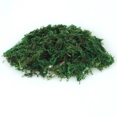 1Pack Artificial Preserved Dec - Preserved Moss Sheet ulasan dan harga