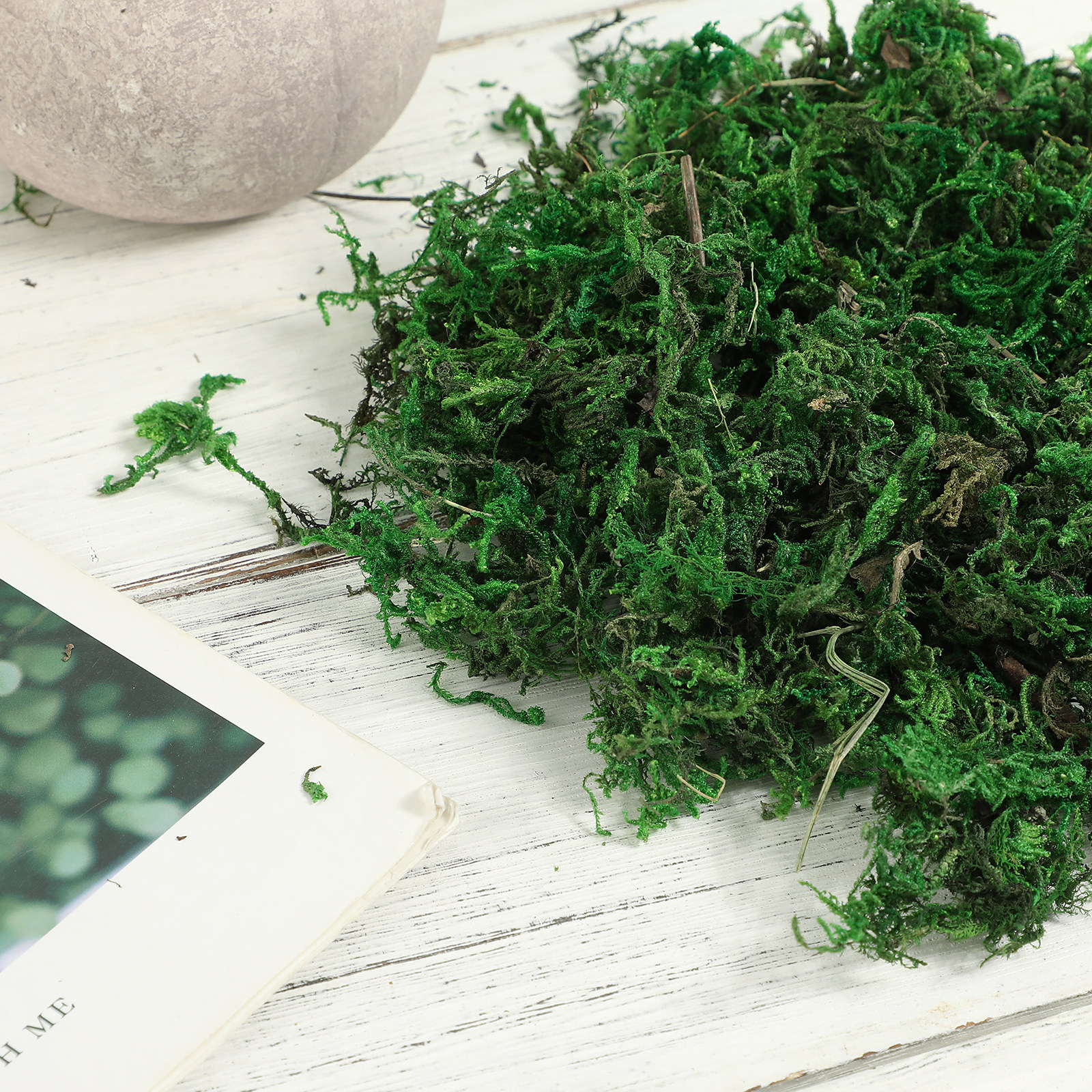 1Pack Artificial Preserved Dec - Preserved Moss Sheet ulasan dan harga