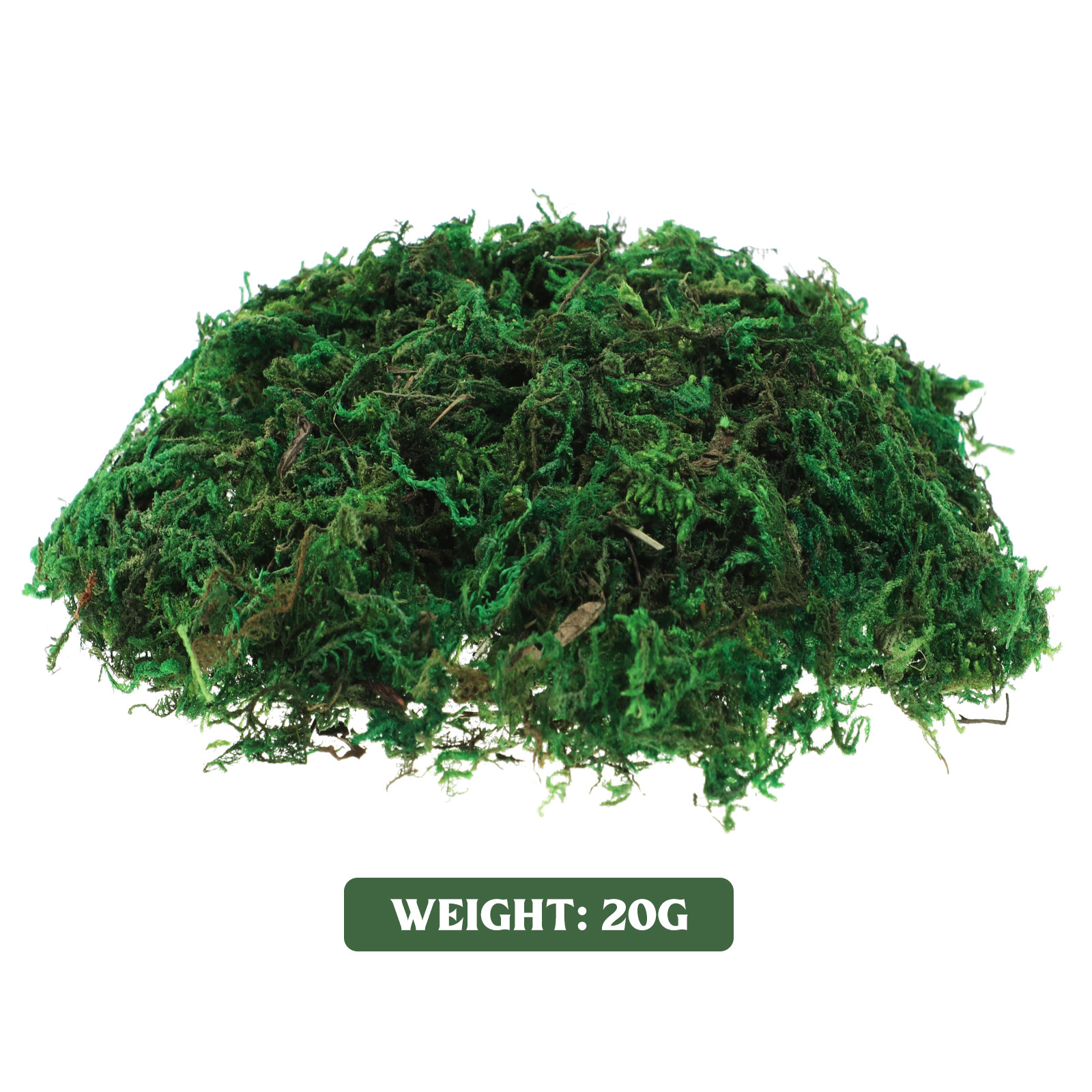 1Pack Artificial Preserved Dec - Preserved Moss Sheet ulasan dan harga