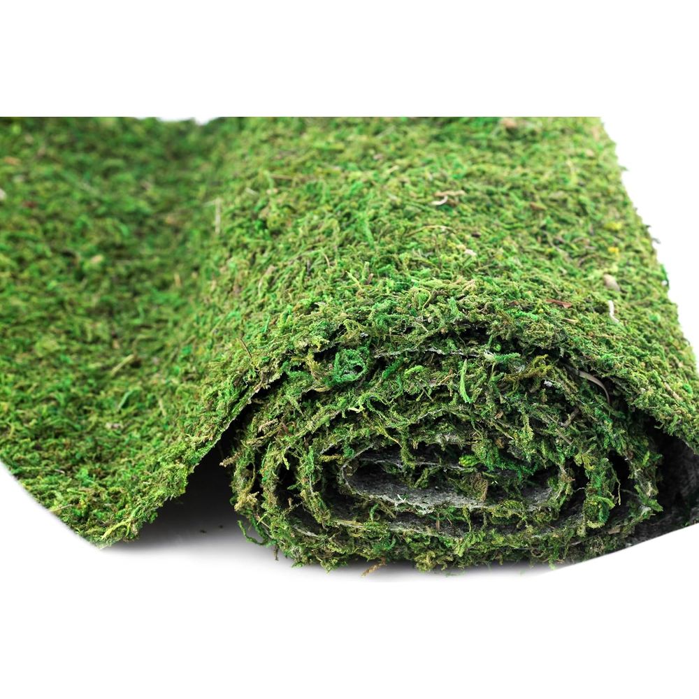 Preserved Moss Sheet - 3ft x 2 - Preserved Moss Sheet ulasan dan harga