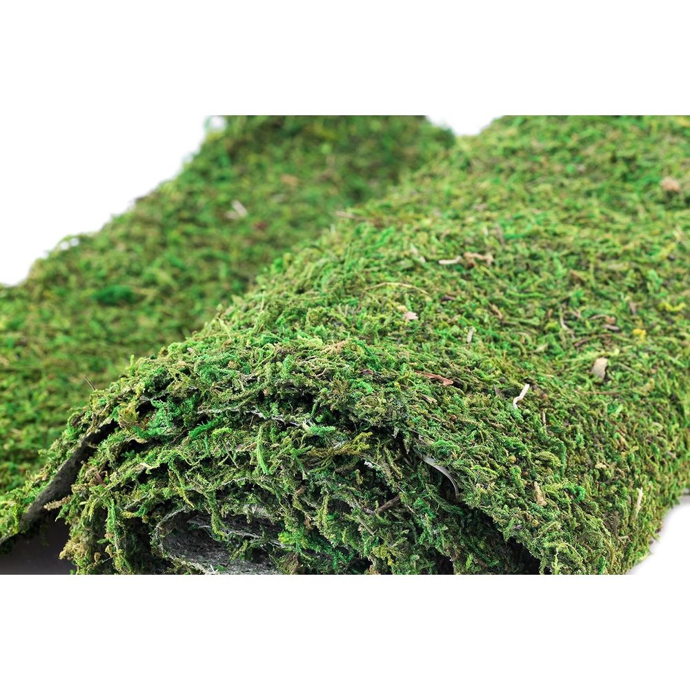 Preserved Moss Sheet - 3ft x 2 - Preserved Moss Sheet ulasan dan harga
